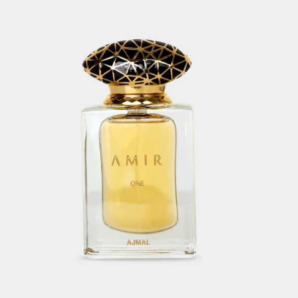 AMIR ONE